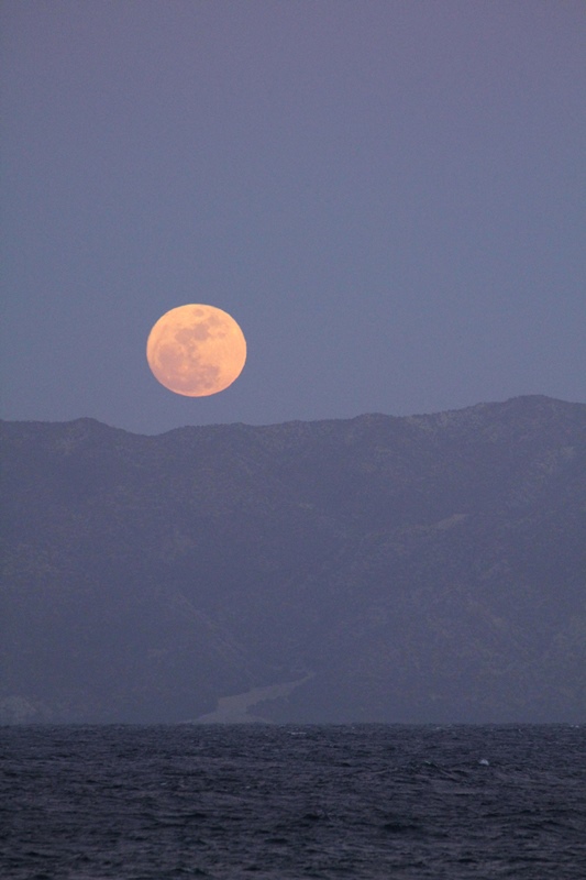 Baja-Mond